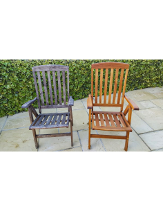 Limpiador Restaurador Net-Trol 1 Lt