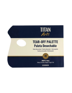 Paleta Desechable 22,5X30...