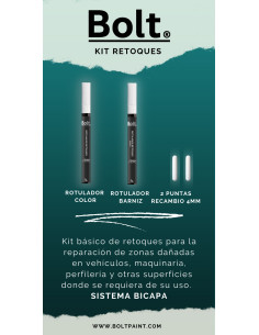 Kit Básico Rotulador Retoques Bicapa Para Daewoo Metalizados