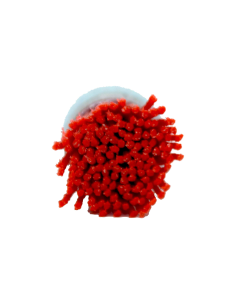 Cepillo Nylon Brocha Decapado Madera 25 Mm