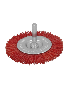 Cepillo Circular Nylon...